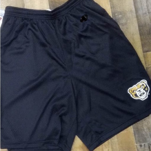 Oakland University Golden Grizzlies Men’s Black Mesh Shorts - Picture 8 of 13